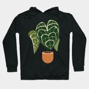 Anthurium clarinervium plant in a pot Hoodie